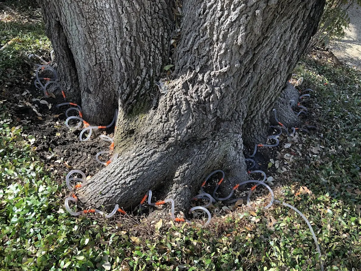 Detailed Shrub and Hedge Trimming job site in Leo